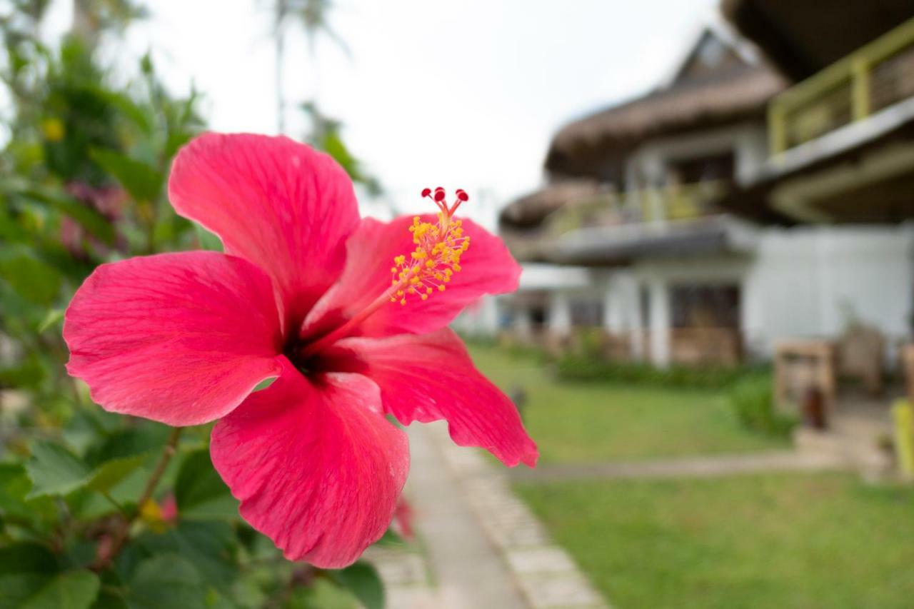 Daluyon Beach&Mountain Resort Sabang  Exterior foto